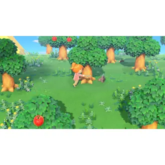 animal-crossing-new-horizons-switch-15698-045496425449.webp