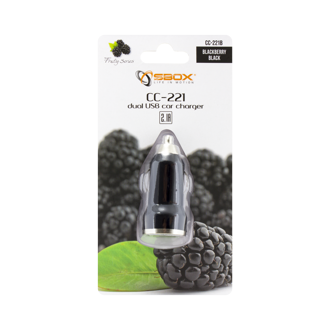 auto-punjac-sbox-cc-221-2xusb-a-10w-crni-32548-cc-221b.webp