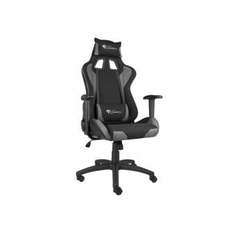 Gaming stolica Genesis Nitro 440 G2, crno-siva