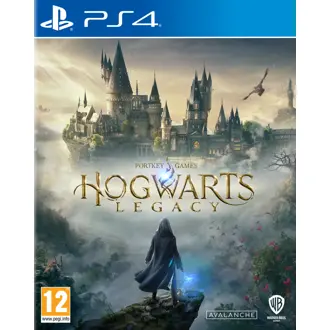 Hogwarts Legacy (PS4)