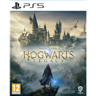 Hogwarts Legacy (PS5)