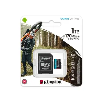 memorijska-kartica-kingston-canvas-go-plus-microsdhc-hc-clas-38475-sdcg31tb.webp
