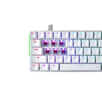 tipkovnica-asus-rog-falchion-ace-zicana-gaming-mehanicka-rog-84878-keyasu047.webp
