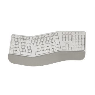 Tipkovnica SBOX WK-905, bežična, ergonomska, HR Layout, bijela