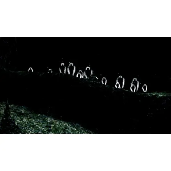 Dark Souls: Remastered (Switch) - Slika 15