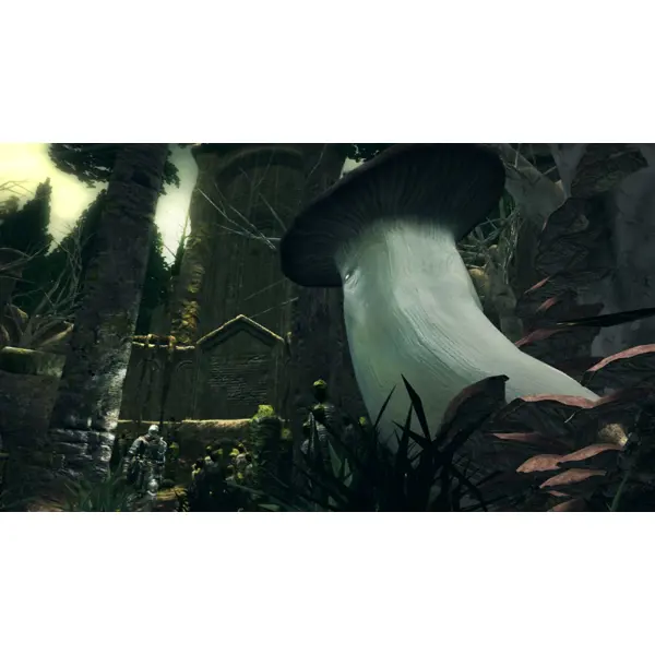 Dark Souls: Remastered (Switch) - Slika 7