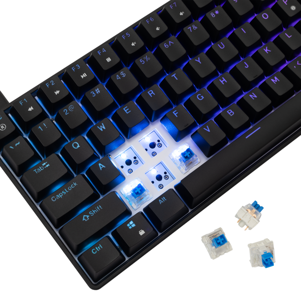Tipkovnica White Shark GK-005121 Hamachi, žičana, gaming, mehanička, blue switches, US Layout, RGB, TKL, crna - Slika 6