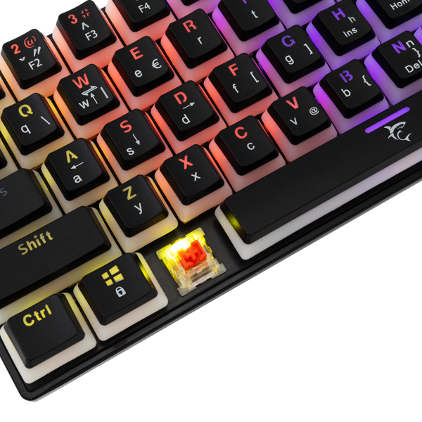 Tipkovnica White Shark GK-2202 Ashiko, žičana, gaming, mehanička, red switches, HR layout, LED, TKL, crna - Slika 5